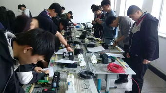 匠心筑夢利其器，破繭成蝶久致遠 營口市電工職業資格鑒定考試助力技能人才成長